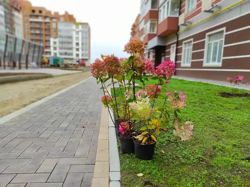 Новини — Photo 4
